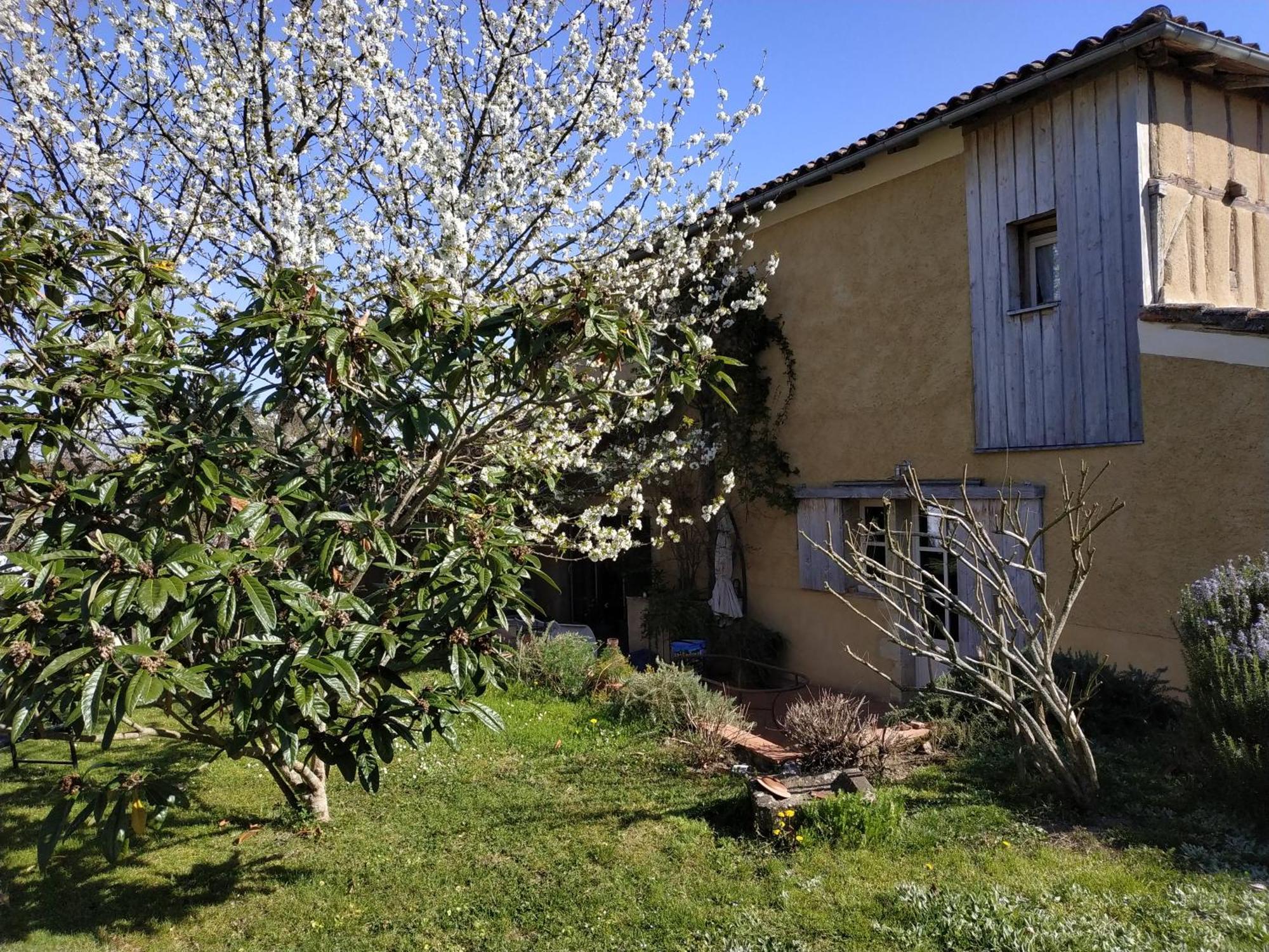 "Au Campaner" Chambres Dans Maison Gasconne Barran エクステリア 写真